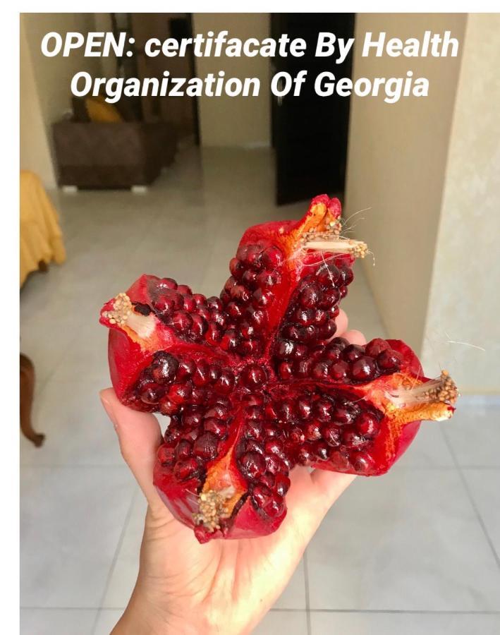 Pomegranate Hotel Kutaisi Exteriér fotografie